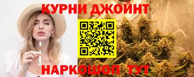 дживик Моздок