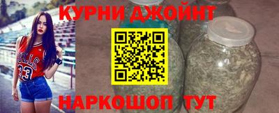 амф Можга