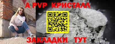 дживик Моздок